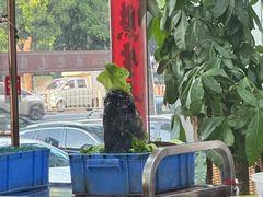 -华仔土鸡店(南洲分店)