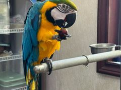 -观桥阁(锦溪店)