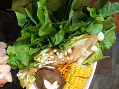 -探窝·竹笙椰子鸡(杨箕店)