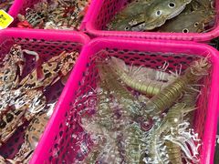 -春园海鲜广场D区6号(钟姐海鲜加工店)