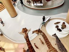 -陕西自然博物馆