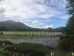 -瑞穗牧场