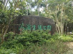 -福田红树林生态公园