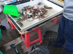 -何庄子阿米玛玛农产品批发市场