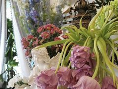 -Jo's Garden