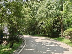 -南京市江宁方山