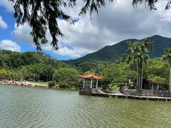 -深圳仙湖植物园