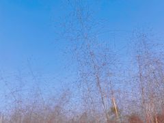 -汉长安城未央宫国家考古遗址公园