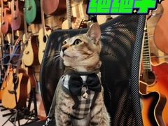 -旅程琴行吉他培训·吉他专卖