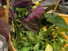 -一朵菌·野生菌探索家火锅(南亚店)