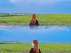 -南汇嘴观海公园