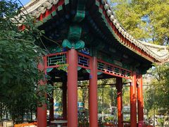 -北京市东城区东四九条小学