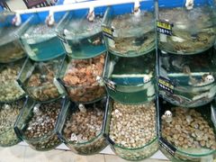 -烁佳海鲜大馅饺子