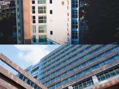 -香港大学