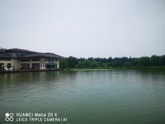 -林栖谷森林康养度假区