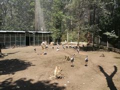 -哈尔滨北方森林动物园