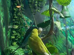 -上海海洋水族馆