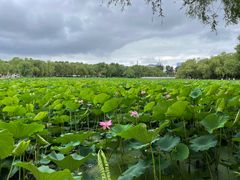 -长春市南湖公园