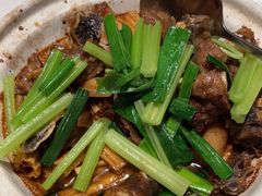 -陶缘一号·四季缘·老字号顺德菜·户外婚礼家宴(西滘店)