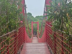 -吴淞炮台湾湿地森林公园烧烤区