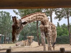 -大连森林动物园