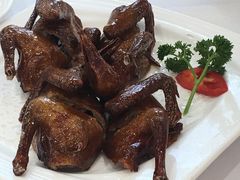 红烧乳鸽-和乐喜宴海鲜酒家(骏荣广场店)