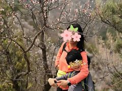 -阳台山自然风景区