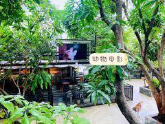 -TrueLove @ Neverland (Husky Cafe)