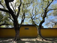 -西园戒幢律寺