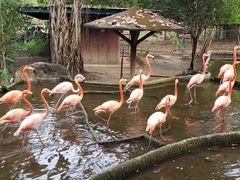 -清迈夜间动物园