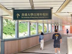 -香港大学