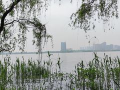 -蠡湖中央公园