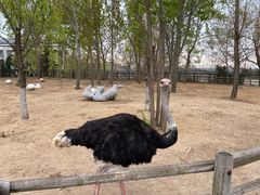 -大连森林动物园