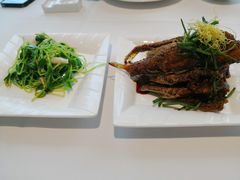 -张生记(丁香国际店)