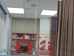 -宠物星动物医院·眼科·异宠·猫科(江南大道总院)