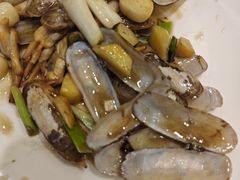 -新南华大酒店(广中店)