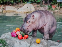 -广州长隆野生动物世界