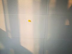 -新时代家居生活广场(古墩店)