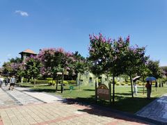 -大嶝英雄三岛战地观光园