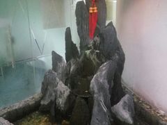 -樱花国际日语(徐家汇中心)