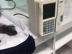 -达爱动物医院·犬猫分区·CT·复杂眼科(远洋山水分院)