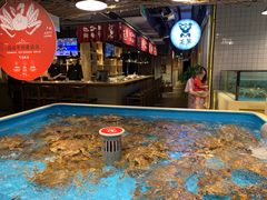 水产区-日进一片海.生腌海鲜火锅.宵夜烧烤(三里屯总店)
