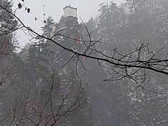 -塔云山