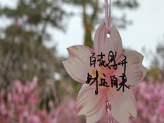 -狐尾山公园