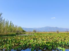 -野鸭湖国家湿地公园