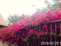 -三亚湾海居铂尔曼度假酒店