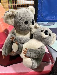 -MELAND CLUB亲子乐园·派对·餐厅(北京芳圆里ID MALL店)