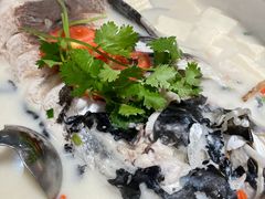 -全乐鱼馆·淳牌有机鱼直营店