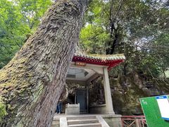 -岳麓山风景名胜区