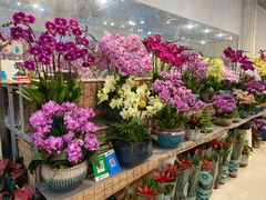 -双季花艺园艺市场(浦东店)